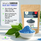 Cambrian Blue Clay Powder- 8 oz - CosmicElement