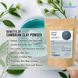 Cambrian Blue Clay Powder- 8 oz - CosmicElement