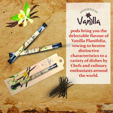 Vanilla Pods - CosmicElement