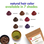 Cosmic Element USDA Organic Henna Hair & Beard Color / Dye - Chemicals Free Hair Coloring Powder with Assorted Shades (4oz, Light Brown) - CosmicElement