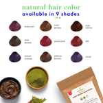 Cosmic Element USDA Organic Henna Hair & Beard Color / Dye - Chemicals Free Hair Coloring Powder with Assorted Shades (4oz, Light Brown) - CosmicElement