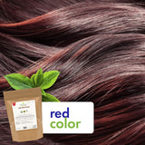 Cosmic Element USDA Organic Henna Hair & Beard Color / Dye - Chemicals Free Hair Coloring Powder with Assorted Shades (4oz, Light Brown) - CosmicElement
